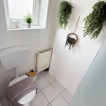 Nova Schlossblick - Phantasialand I Koeln I Bonn