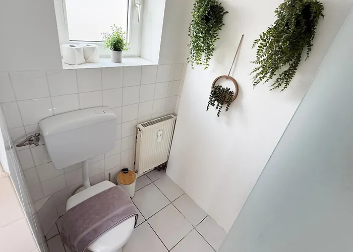 Nova Schlossblick - Phantasialand I Koeln I Bonn